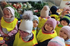 2025-02-03 - Kotki - Robimy zakupy - wycieczka do pobliskich sklepów